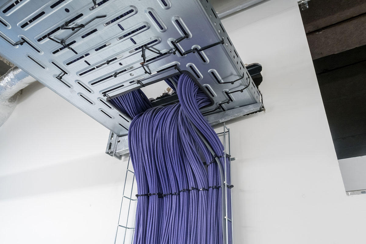 Network cables coming from the ceiling